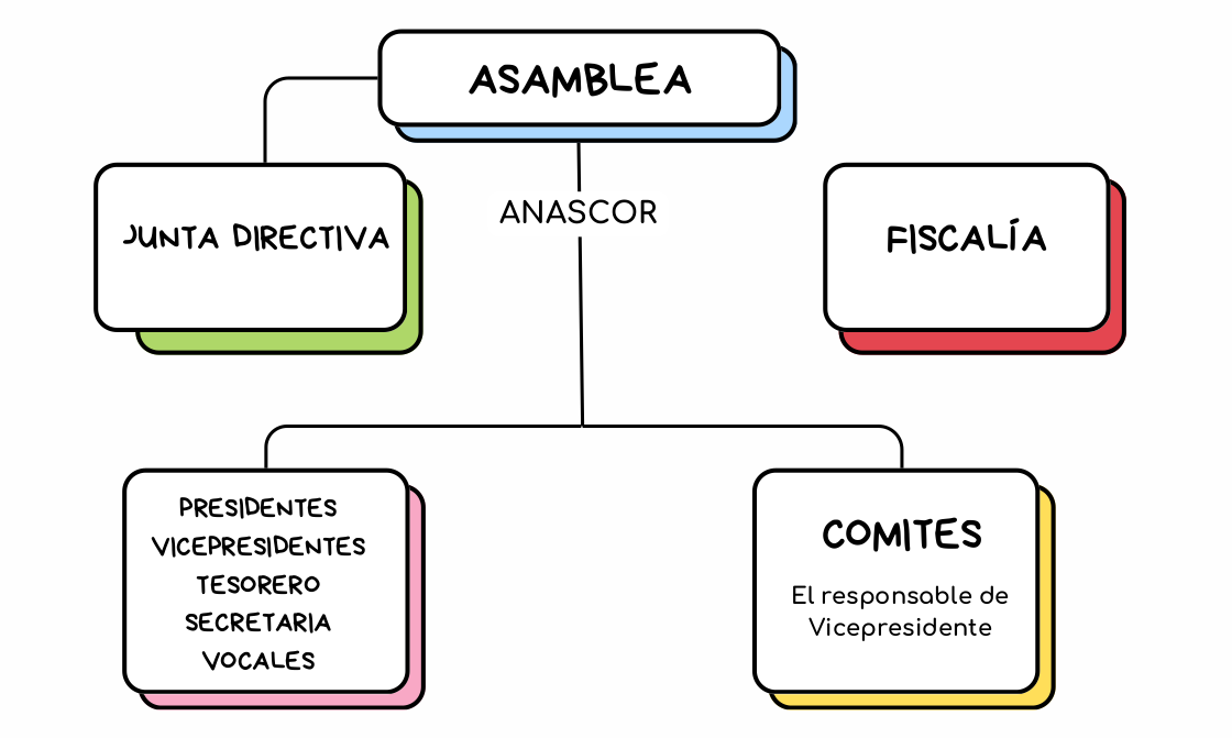 Estructura de ANASCOR